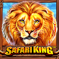  Safari King 