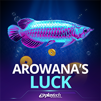  Arowana s Luck