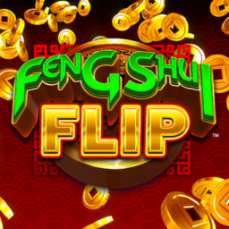  Feng Shui Flip